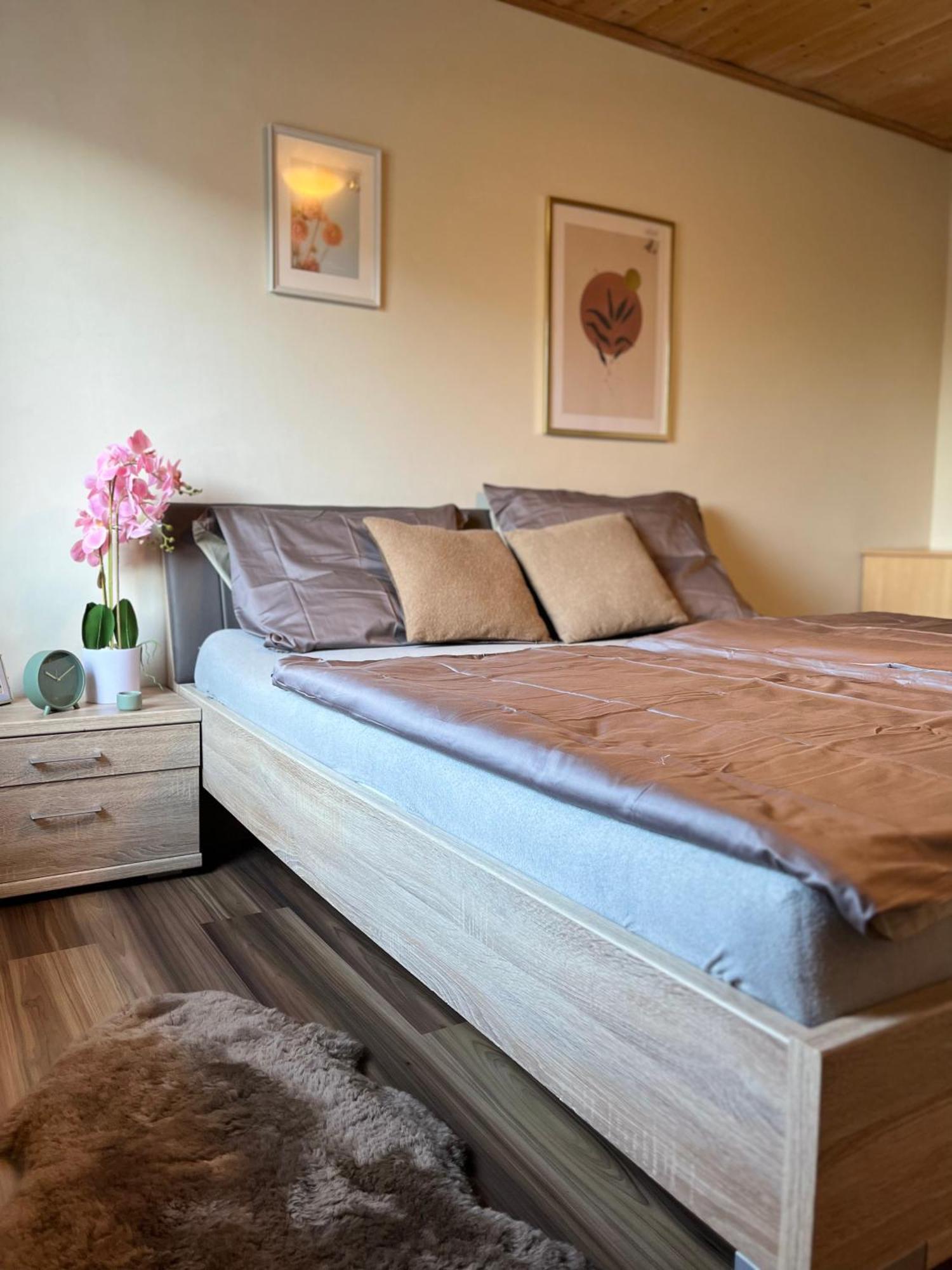 Gemuetliche Wohnung/ Cozy Apartment ニクラスドルフ エクステリア 写真