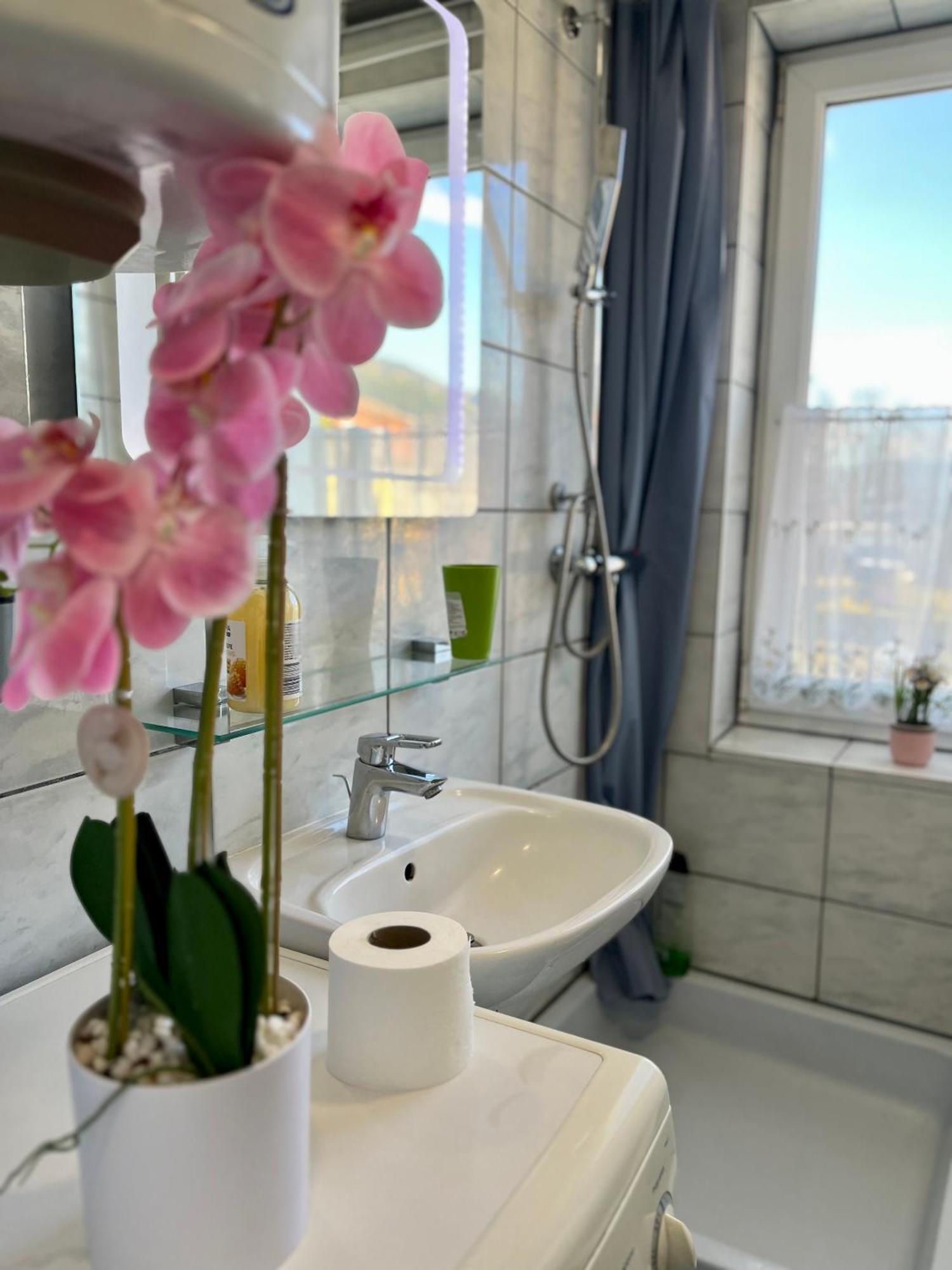 Gemuetliche Wohnung/ Cozy Apartment ニクラスドルフ エクステリア 写真